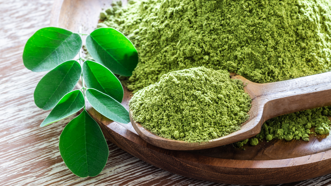 Découvrez la poudre de moringa bienfaits